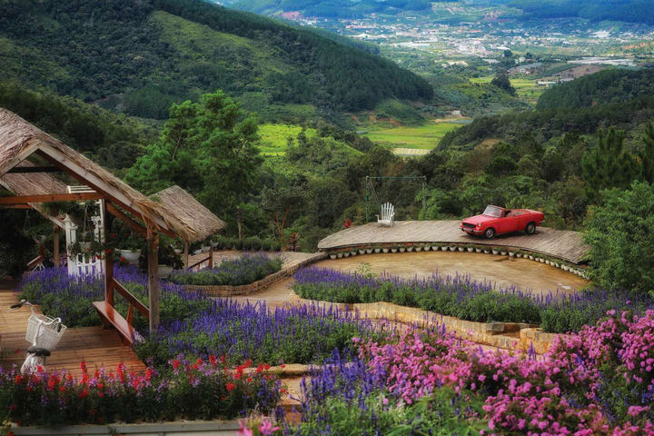 Dalat Flower Highland Ticket