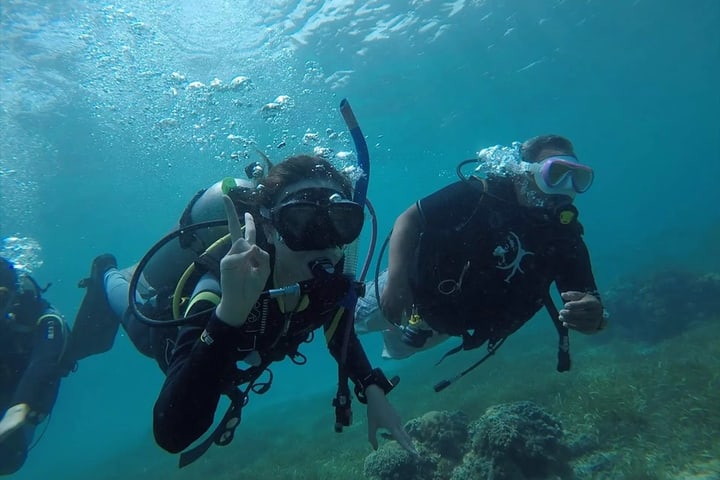 麦克坦岛 PADI 五星潜水中心体验潜水