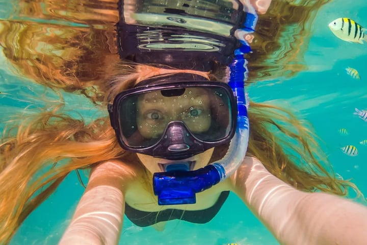 Snorkel at Napaling and Swim with the Panglao Sardines
