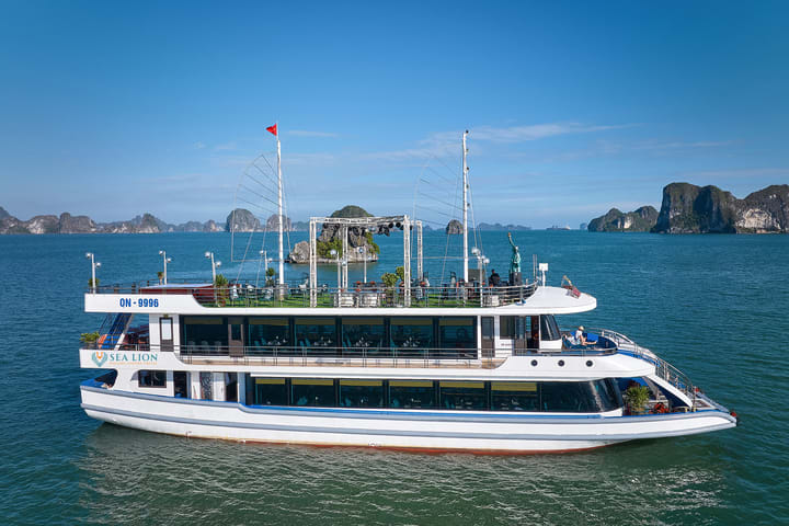Sea Lion Day Cruise: Ha Long Bay, Sung Sot, Ti Top