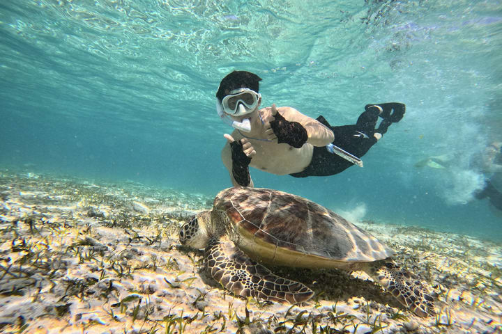 Tur Snorkeling Gili Trawangan, Gili Meno, dan Gili Air dari Bali