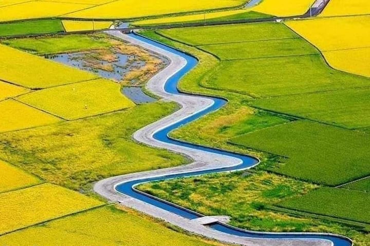 Yilan | Pengalaman Mendayung Kano di Sungai Emas Padi
