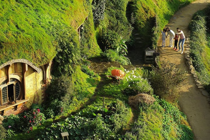 Auckland ke Rotorua: Hobbiton & Waitomo Tour dengan Piknik Makan Siang