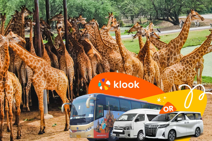 Bangkok Safari World Shared and Private Transfers Service