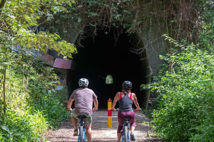 Guided Glow Worm E-Bike Tour di Byron Bay