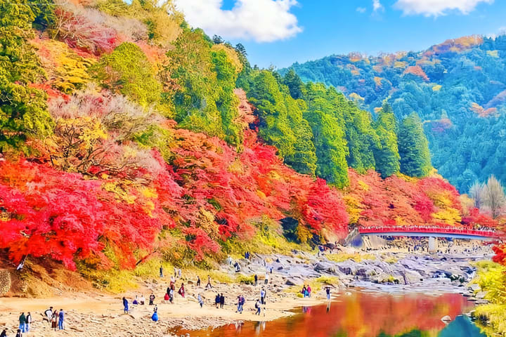 Tur sehari ke Hukisan Eihoji, Sakura Empat Musim Obara & Daun Musim Gugur Korankei