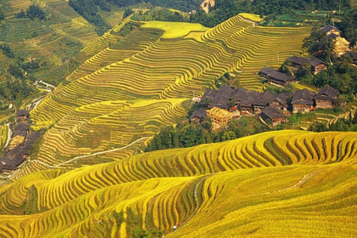龙脊梯田