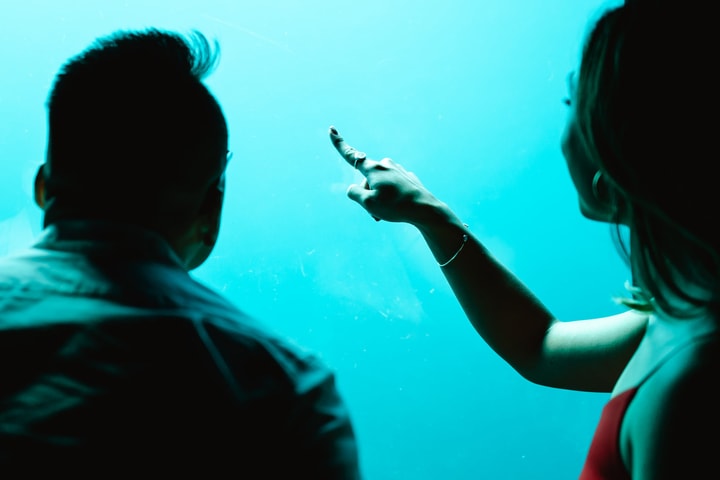 Busselton Jetty Underwater Observatory Experience