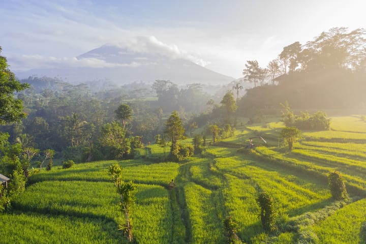 UNESCO Heritage Sites Tour di Bali