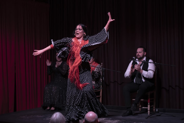 Flamenco Show Ticket at Palau Dalmases in Barcelona