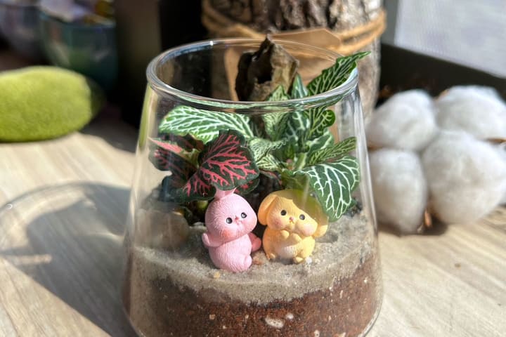 Workshop Tanaman Hias Dalam Ruangan dan Terrarium Lumut oleh Little Eden Succulents