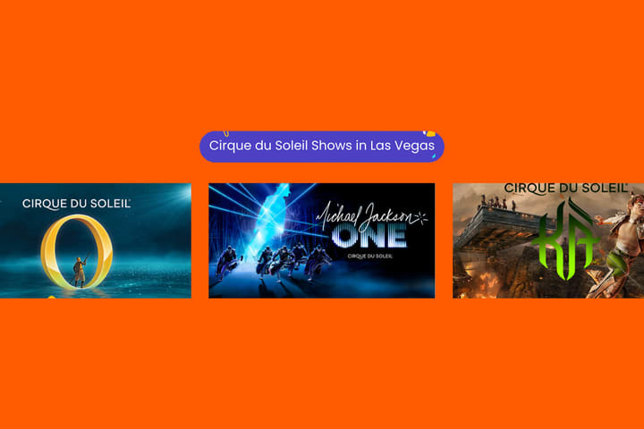 Cirque du Soleil Show Ticket in Las Vegas
