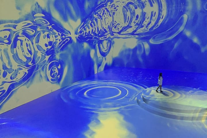 马尼拉 Art In Island 3D 美术馆门票