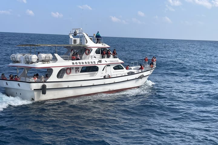 Wisata Mengamati Paus di Hualien｜Huawei Whale Watching｜Pengalaman Tur dengan Pemandu Mengamati Paus