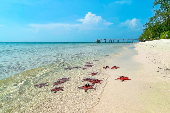 Northern Phu Quoc Day Tour: Kayaking, Starfish Beach & Rach Vem