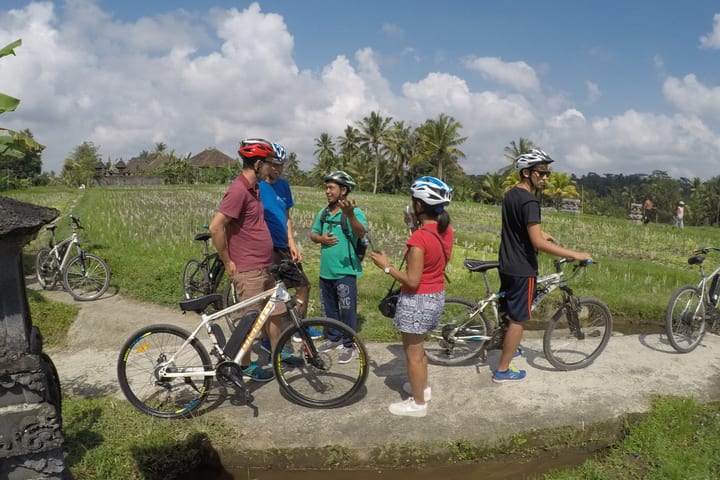 Bike Tour di Tegalalang dengan Makan Siang