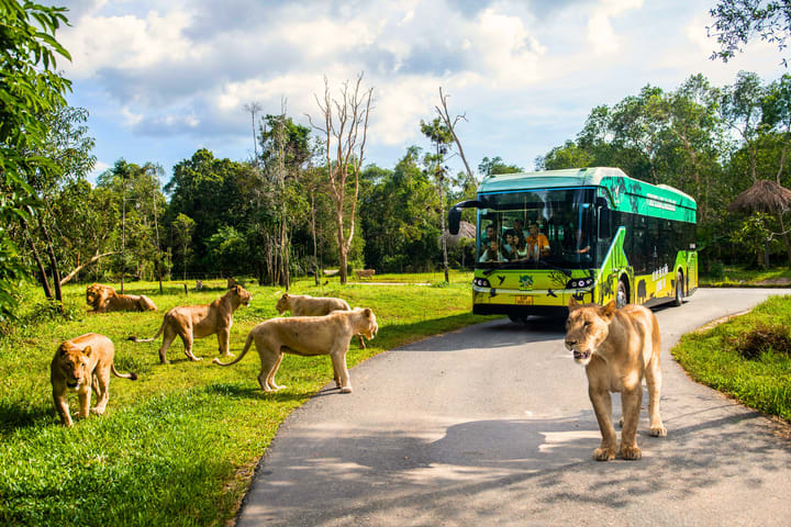 Vinpearl Safari Phu Quoc Ticket