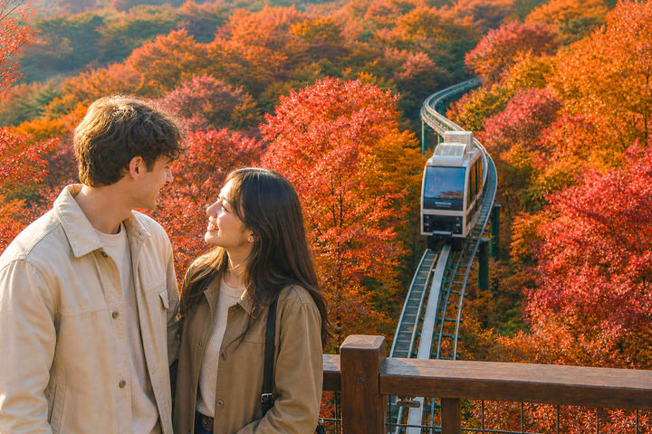 Hwadam Botanic Garden, Namhansanseong, and Folk Village Day Trip