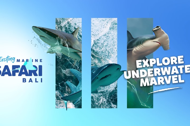 Tiket Marine Safari Bali
