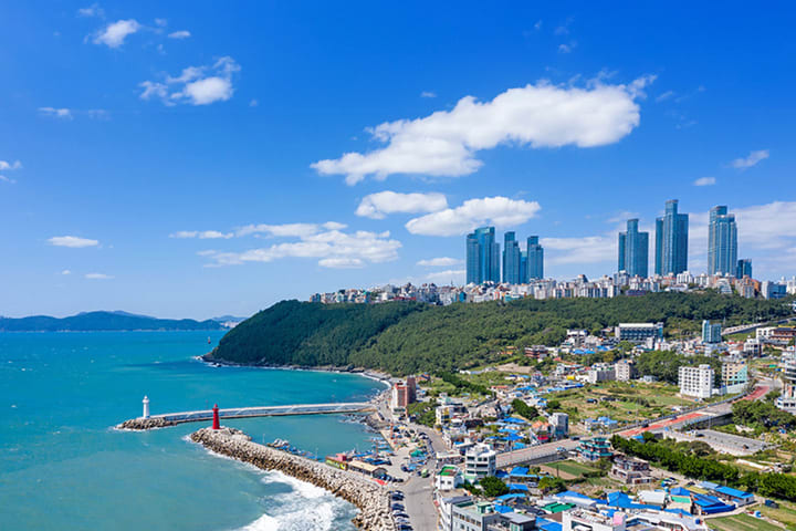 Busan Full-Day 9 Iconic Spots Tour with Hidden Gems
