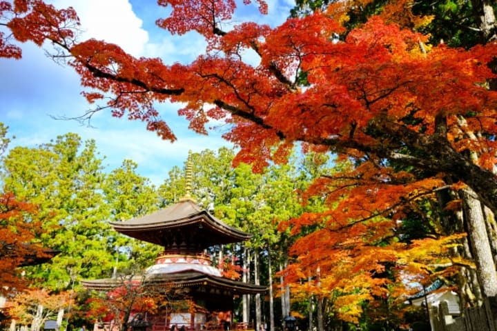 Osaka Koyasan & Okunoin Cemetery Day Tour