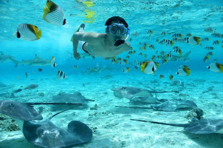 Bora Bora Island Land and Sea Combo Experience