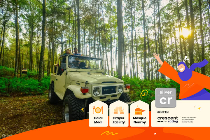 [Muslim Friendly] Mount Batur Trekking and Jeep Tour in Bali
