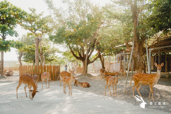 Tiket Paradise of Deer di Kenting, Pingtung