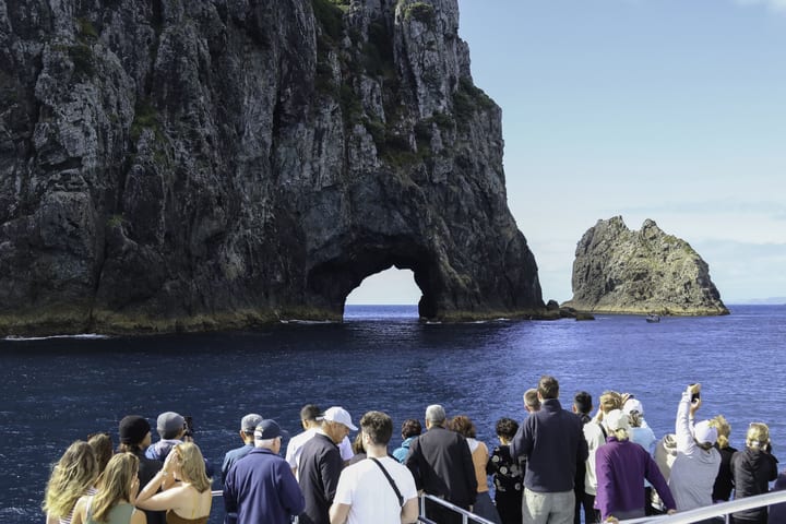 Hole in the Rock Dolphin Cruise