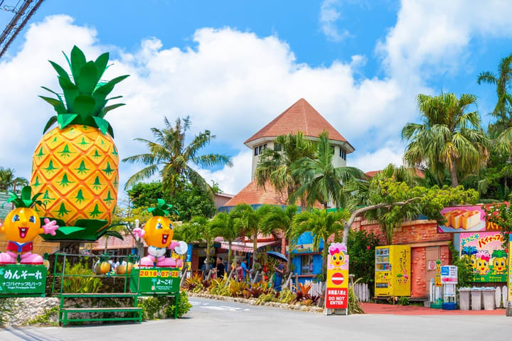 Tiket Nago Pineapple Park di Okinawa