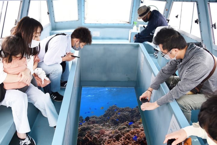 冲绳: 新原海滩玻璃船游船体验