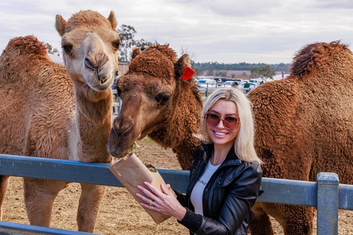 Camel Farm Experience di Brisbane