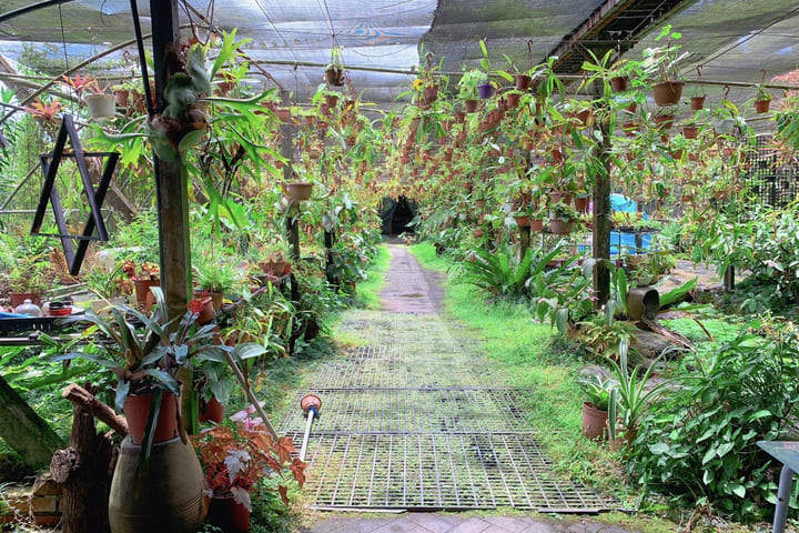 Yilan: Tiket Masuk & Pengalaman DIY di Boder Farm