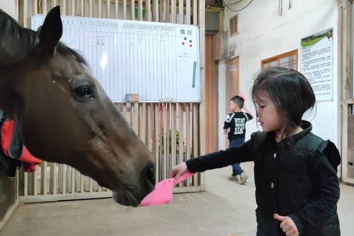 Yilan｜Kavalan Equestrian Center｜Horse Riding Experience｜Outdoor & Riverside Riding
