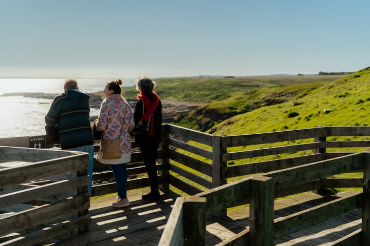 Tur Margasatwa Phillip Island & Kotak Pantai Brighton