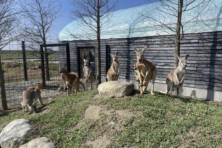 Yilan Lanyang Animal and Plant Kingdom Tickets