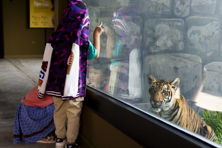 Tiket Terusan Seharian | Angkor Wildlife & Aquarium