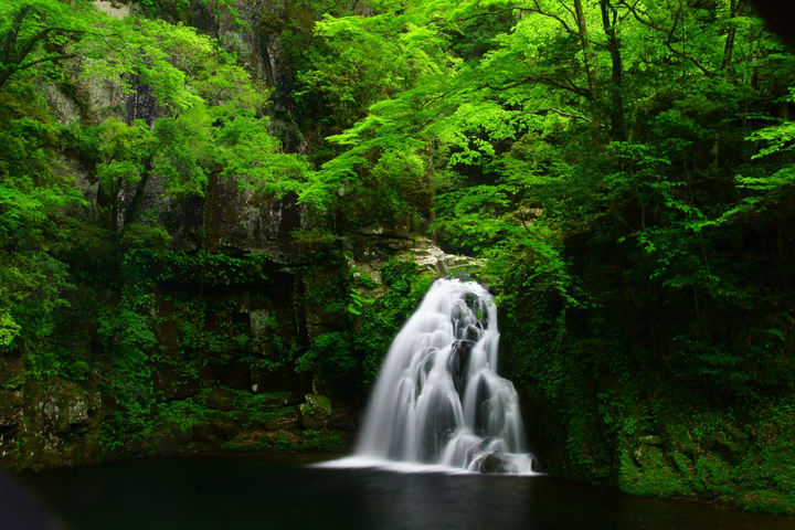 Akame 48 Watefalls / Ninja Training Experience di Mie