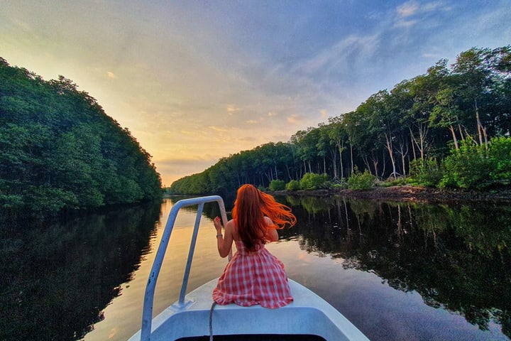 Bongawan Mangrove River Cruise & Fireflies with Infinity Dream Beach Sunset Tour