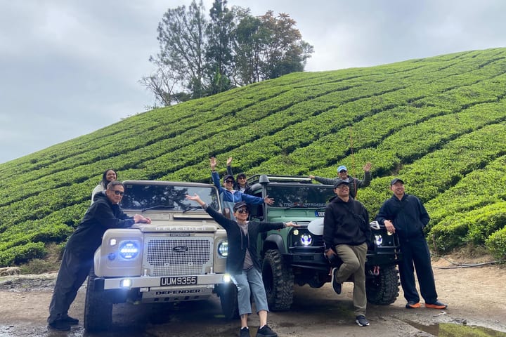 Cameron Highlands Half-Day Mossy Forest and Tea Plantation Tour