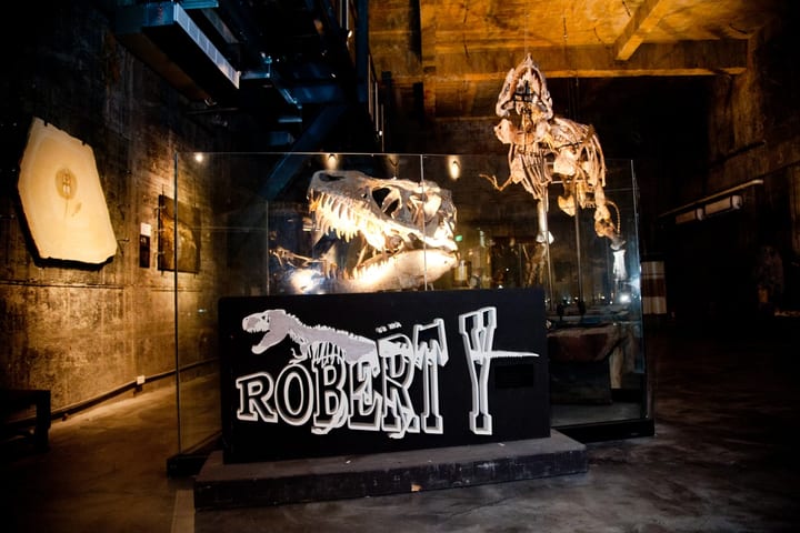 Robert Y 废墟暴龙馆门票