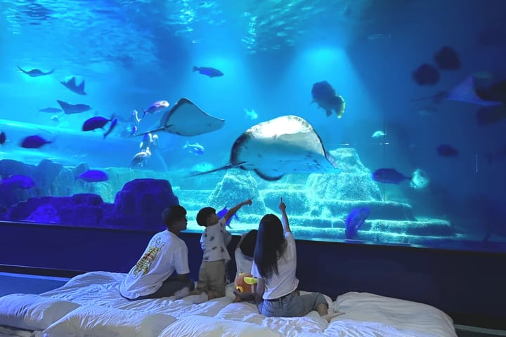 花莲远雄海洋公园：海洋夜未眠・夜宿水族馆・住宿体验