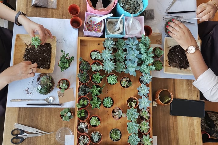 Little Eden Succulents 多肉植物生态瓶手作坊