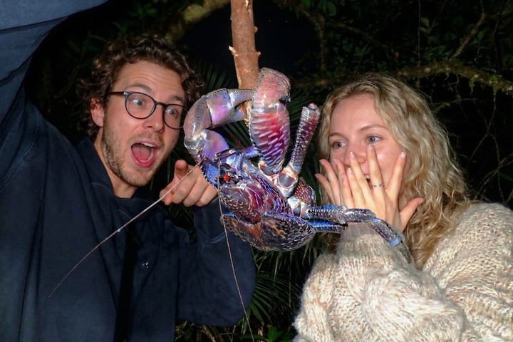 Miyakojima: Tur Malam Hutan Subtropis & Bintang (Okinawa)