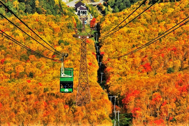 EN/CN│黑岳缆车、旭山动物园、拉面一日巴士之旅│北海道