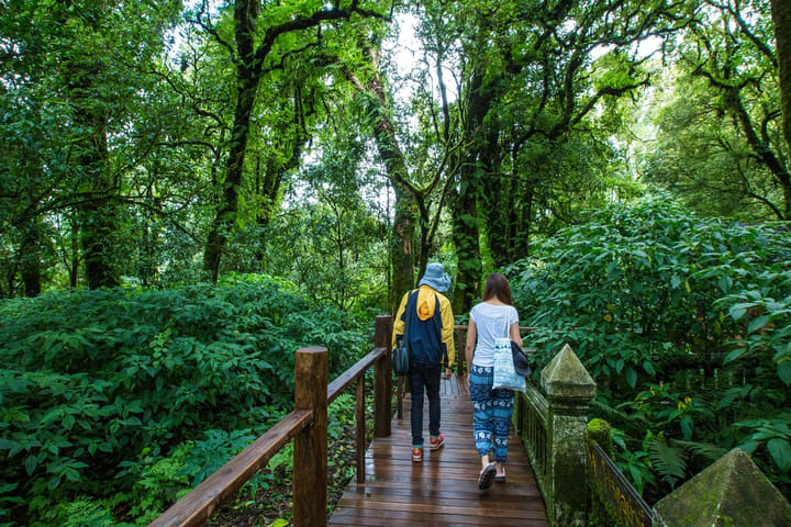 Doi Inthanon National Park Day Tour di Chiang Mai