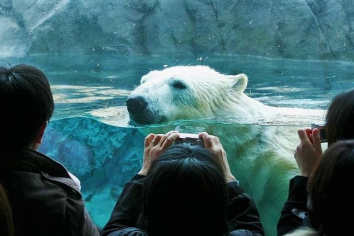 Tur Sehari Penuh Sapporo Farm Tomita & Blue Pond