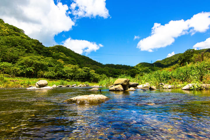Shuangliu National Forest Recreation Area Tickets