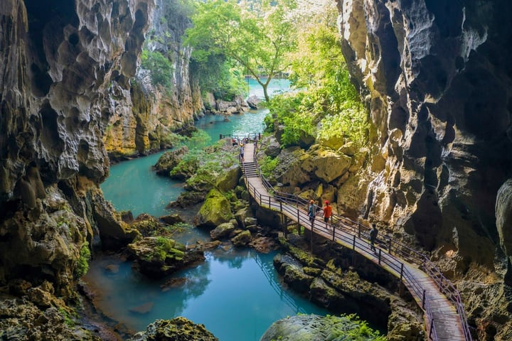 Paradise Cave and Dark Cave Day Tour