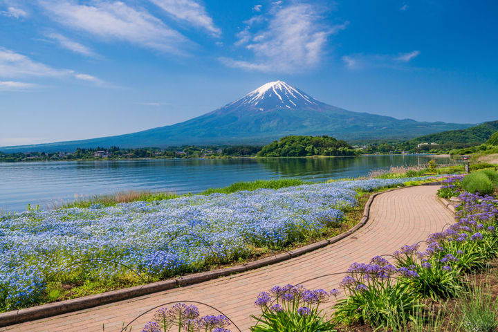 富士山包车游览一日游（东京出发）